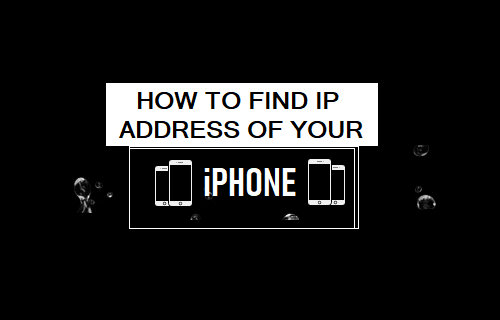Find IP Address of iPhone