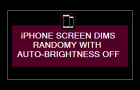 iPhone Screen Dims Randomly With Auto-Brightness OFF