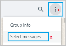 Select Messages Option in WhatsApp