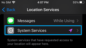 System Services Settings Option on iPhone