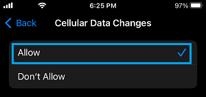 Allow Cellular Data Changes Option on iPhone