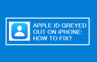 Apple ID Greyed Out on iPhone
