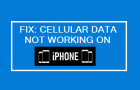 Cellular Data Not Working on iPhone
