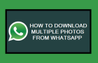 Download Multiple Photos from WhatsApp