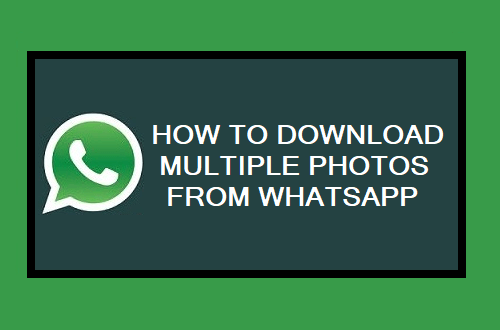 Download Multiple Photos from WhatsApp