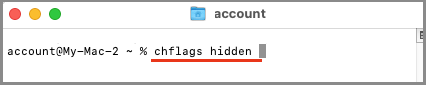 Type chflags hidden Command on Mac