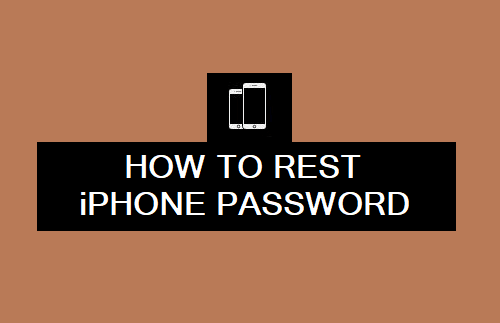 Reset iPhone Password
