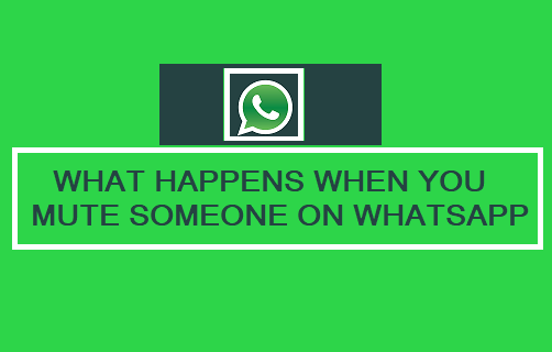 What Happens When You Mute Someone on WhatsApp