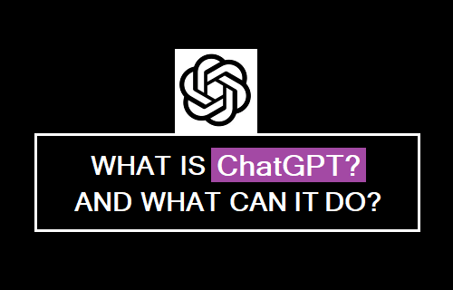 What is ChatGPT And What Can it Do?