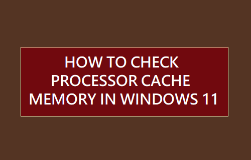 Check Processor Cache Memory