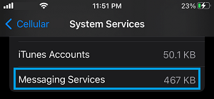 Data Used by Messaging Services on iPhone