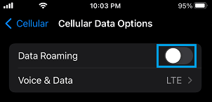 Disable Data Roaming on iPhone