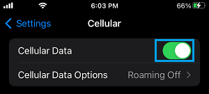 Enable Cellular Data on iPhone