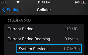 Data Used By System Services on iPhone