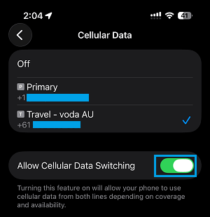 Allow Cellular Data Switching on iPhone