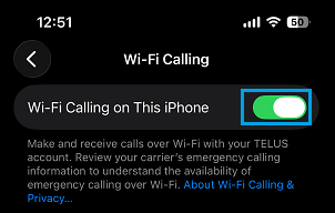 Enable Wi-Fi Calling on iPhone